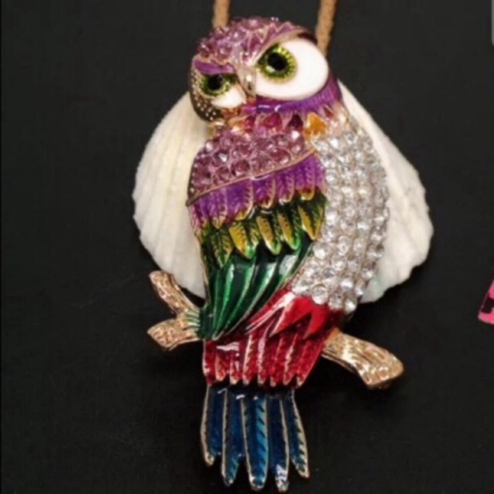 Betsey Johnson owl necklace NEW Host Pick
